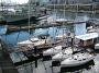 sydney-feb-b 127